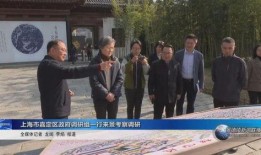 景德镇政府爆料事件视频,视频揭露惊人真相